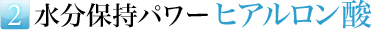 水分保持パワーヒアルロン酸