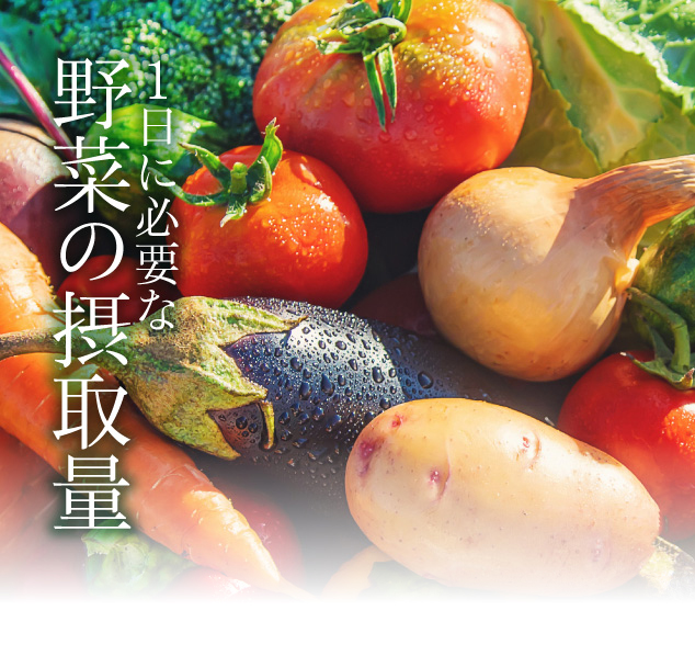 1日に必要な野菜の摂取量